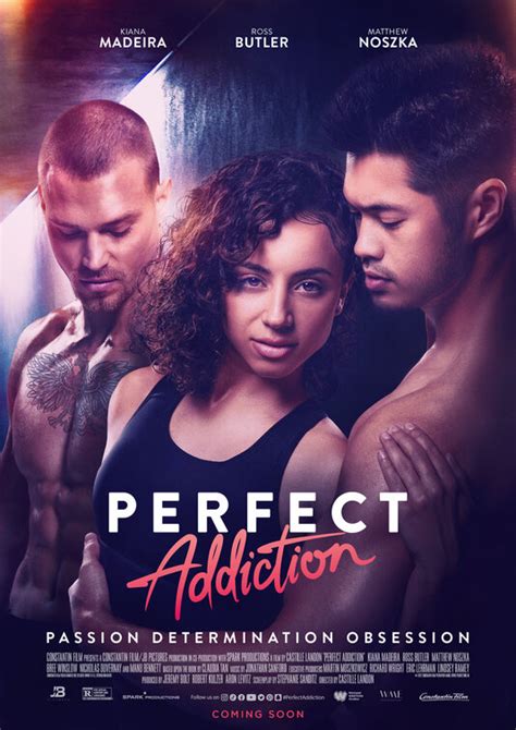 cartoonhd perfect addiction